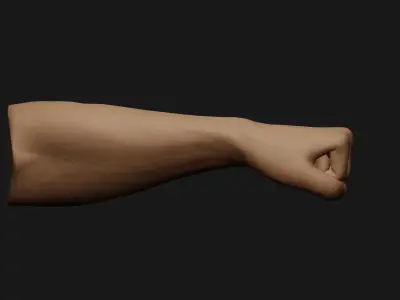 Male Left Hand Rigged Low-poly 3D model