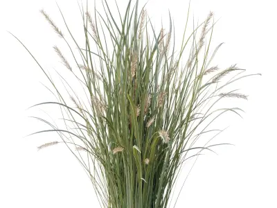  Pampas Bush and Wheat Grass - Bush Set 09 3D model