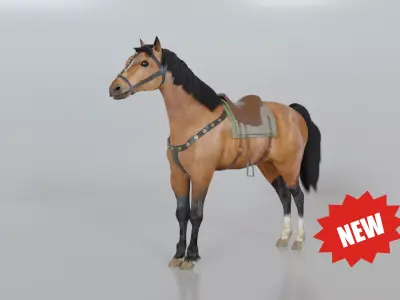 Horse for Riders 3D model