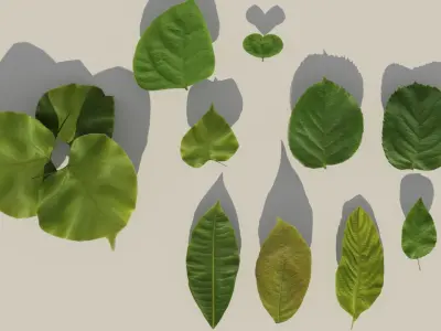 Leaf realistic pack Vol 01  Low-poly 3D model
