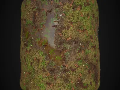 PBR Grass Ground made in substance designer Texture
