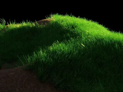 Blender Realistic Grass With Particle System Low-poly 3D model
