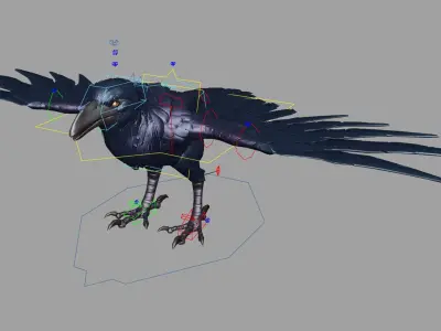  Vail Crow Anim Rig 