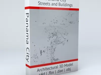 Panama City Streets and Buildings 3D model