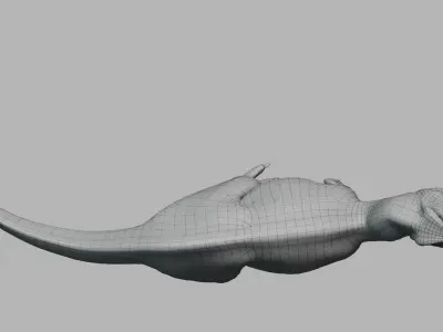  Tyrannosaurus Rex T-Rex Anatomically Accurate Model 