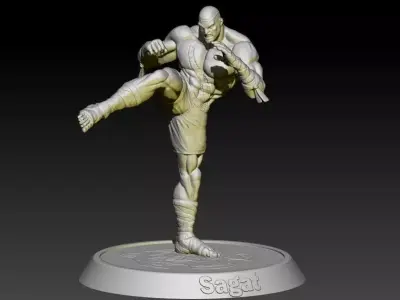 Street Fighter Sagat 3D print model