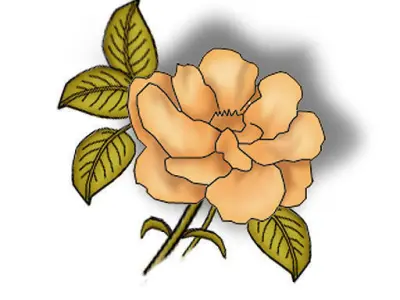 textured knob Handle 2 3D model