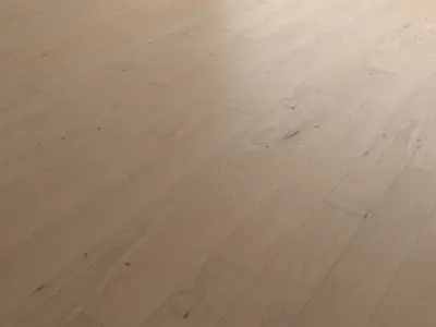 Wood Floor Set 43 Texture