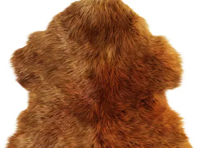Sheepskin New Zealand 3D model