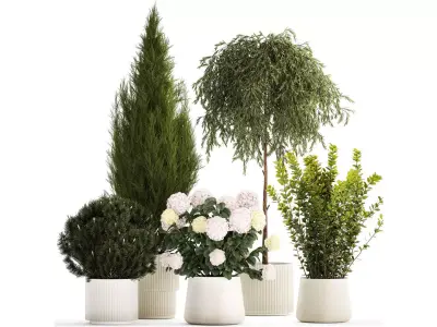 Beautiful plants in pots for indoors and outdoors 1298 3D model