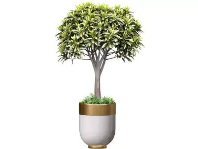 Decorative tree in a modern flower pot vase art deco planters 3D model