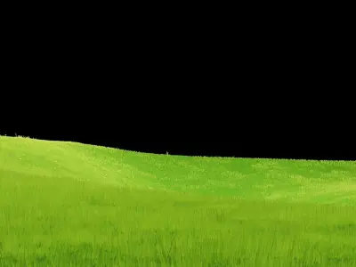 Anime Grass field  3D model