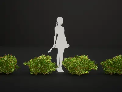 Vulnerable Plant - 6 Hibbertia emarginata Grass Bush Tree Low-poly 3D model