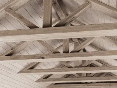 Wooden Ceiling V12  3D model