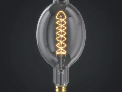Light bulb 25 3D model