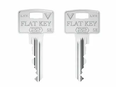 Flat key collection 3D model