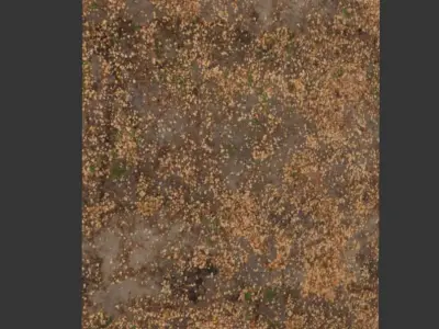 Ground autumn scan 2 3D model
