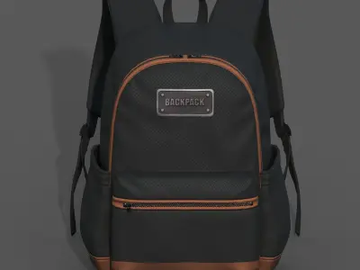 Backpack Camping bag baggage Color 3d low poly  Low-poly 3D model purchase