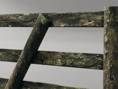 old wood gate and posts Free 3D model