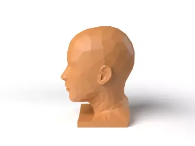 HumanHead Low Poligonal Low-poly 3D model