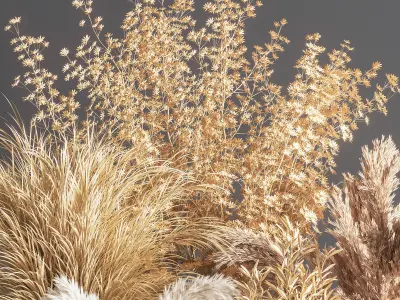 Collaction Plants Bouquet 07 Corona 3D model