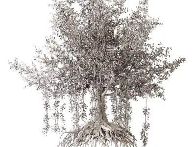 Banian tree 3D model