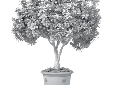 Decorative flowering garden tree in a classic flowerpot 3D model