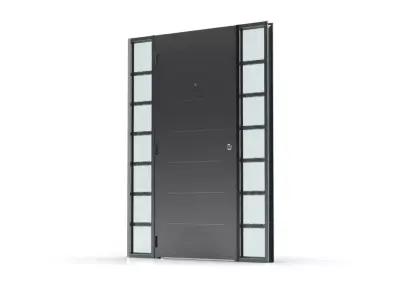 Modern Entrance Door with Glass Side Panels Architectural 3D model