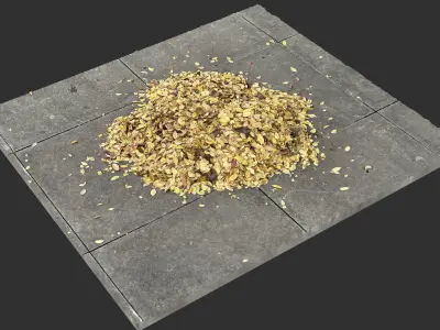 Leaves on the ground 3d scan 3D model