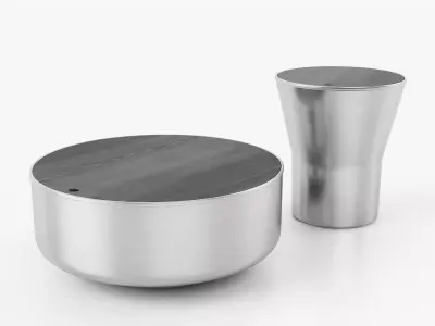 Mono stainless steel coffee table and wooden bowl 3D model