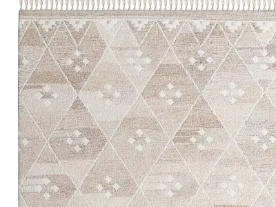 Cora Kilim Woven Rug 3D model