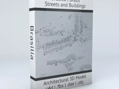 Brasilia Streets and Buildings 3D model