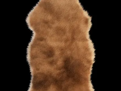 Sheepskin 1 rug 3D model
