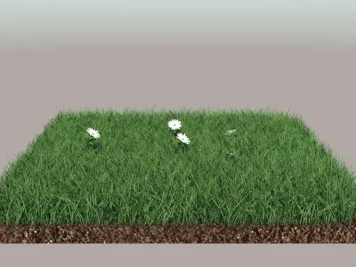 Grass field with golf balls 3D model