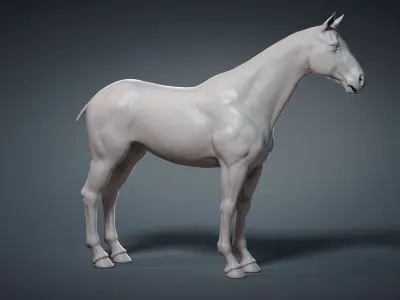  Horse Base Mesh 