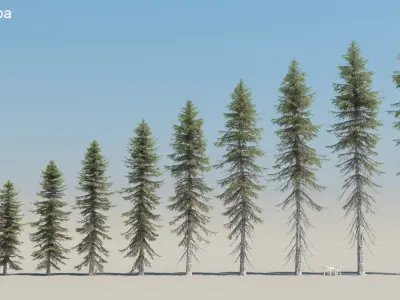  200 Low Poly Trees 