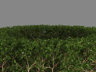 bench807 circular wooden bench with plant in middle 3D model