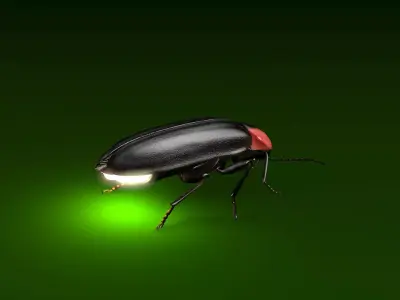 Firefly beetle flying Low-poly 3D model