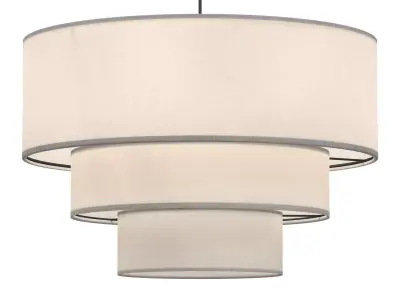 Bertan 4  Light Dimmable Chandelier 3D model
