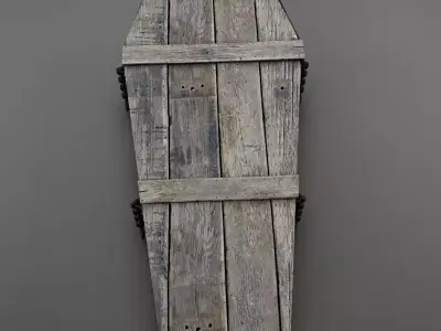 HD Coffin Horror old 3D model