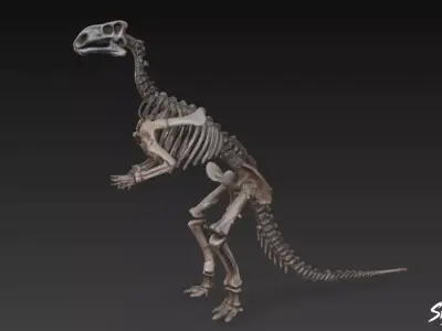 Iguanodon fossil Low-poly 3D model