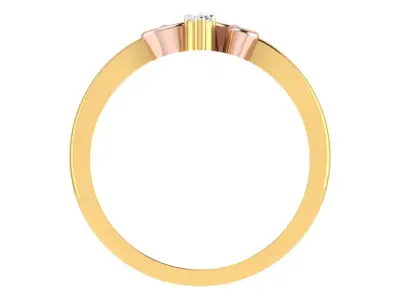 Light weight ring model  3D print model get