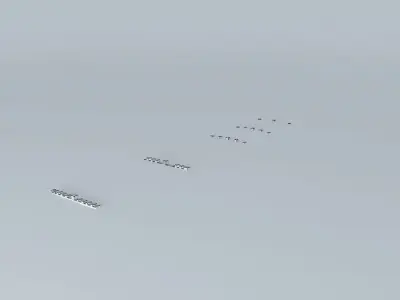 KPHL Runway 9R Landing Lights Free 3D model
