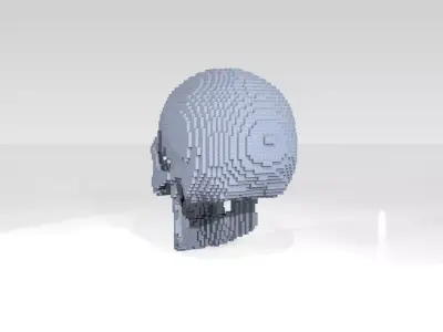 Skull Voxel 3D model