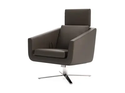 Pavo Armchair 3D model