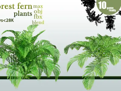 10 forest fern plants VOL 07 Low-poly 3D model