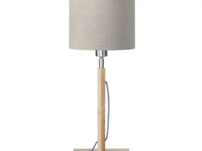 Zarrukh Table Light Lamp Free 3D model