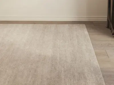 Carpet set 3132 - Wool Beige Rug - 4k 3D model