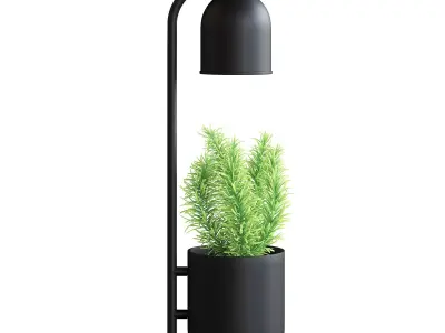 Desk Lamp with a Plant 3D model