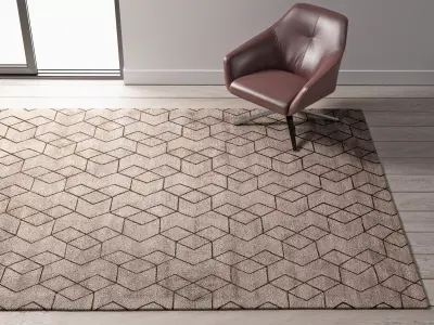 Hex 2 Carpet 3D model
